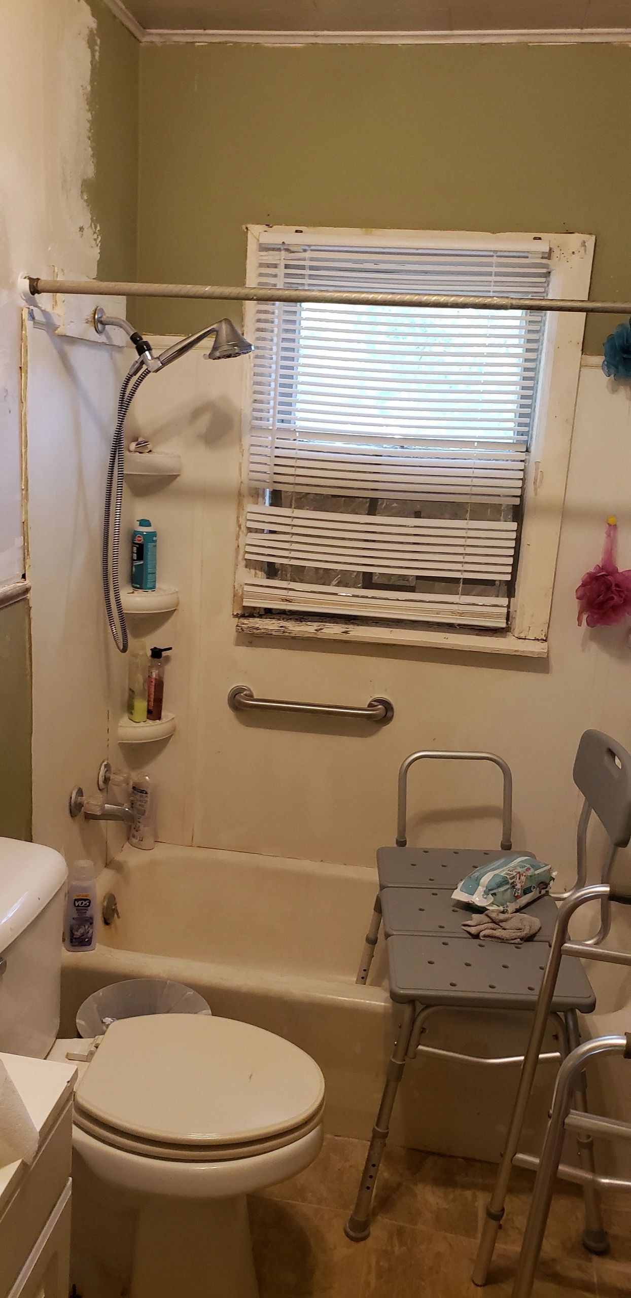 Gala's bathroom before renovation